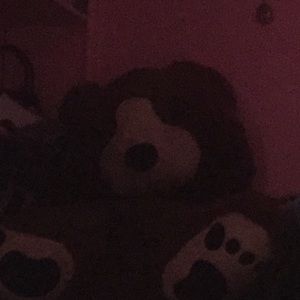 Meet your Posher, Tanisha